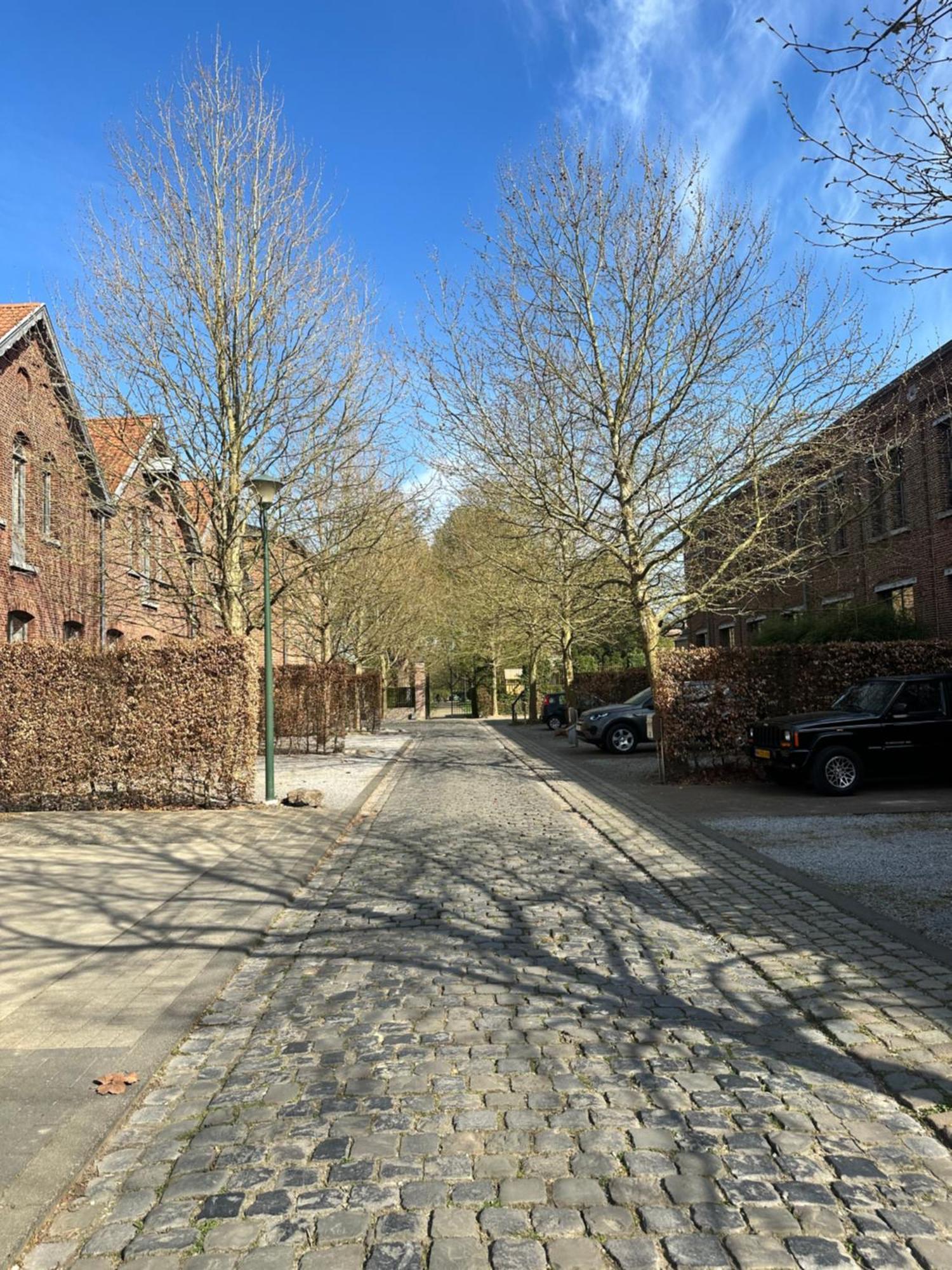 Vakantiewoning Waag Rekem Luaran gambar